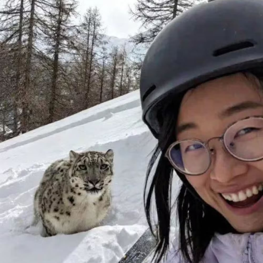 Ela-estava-a-tres-metros-de-um-leopardo-das-neves